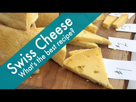 Swiss Cheese Made at Home - What Recipe Made the Best Tasting Swiss Cheese? What the judges said...