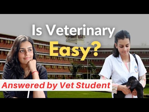 Is BVSc & AH Course / Veterinary Easy? Answered by Vet Student | My Vet Journey #veterinary#vet#new