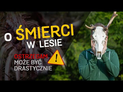 Death in the Forest 🌲 Why is it important and... invisible? - About the Forest #42