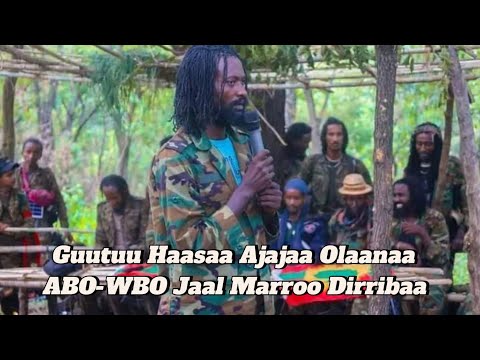 Guutuu Haasaa Ajajaa Olaanaa ABO-WBO Jaal Marroo Dirribaa Eebba WBO Marsaa Irbuu Shinniiggaa Irratti