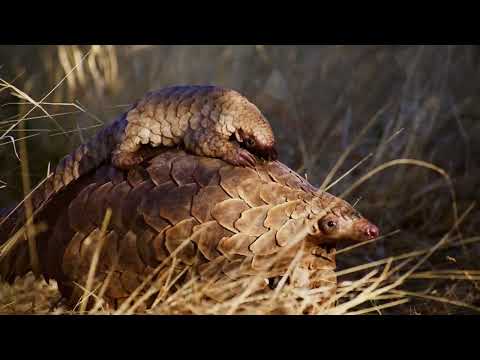 On Tourismus Namibia this week.