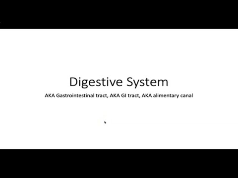 Digestive System (VETERINARY ASSISTANT EDUCATION)