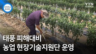태풍 피해대비 농업 현장기술지원단 운영 / YTN 사이언스