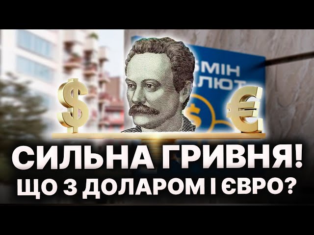 Гривня на коні. Що буде з доларом і євро? Прогноз курсу валют