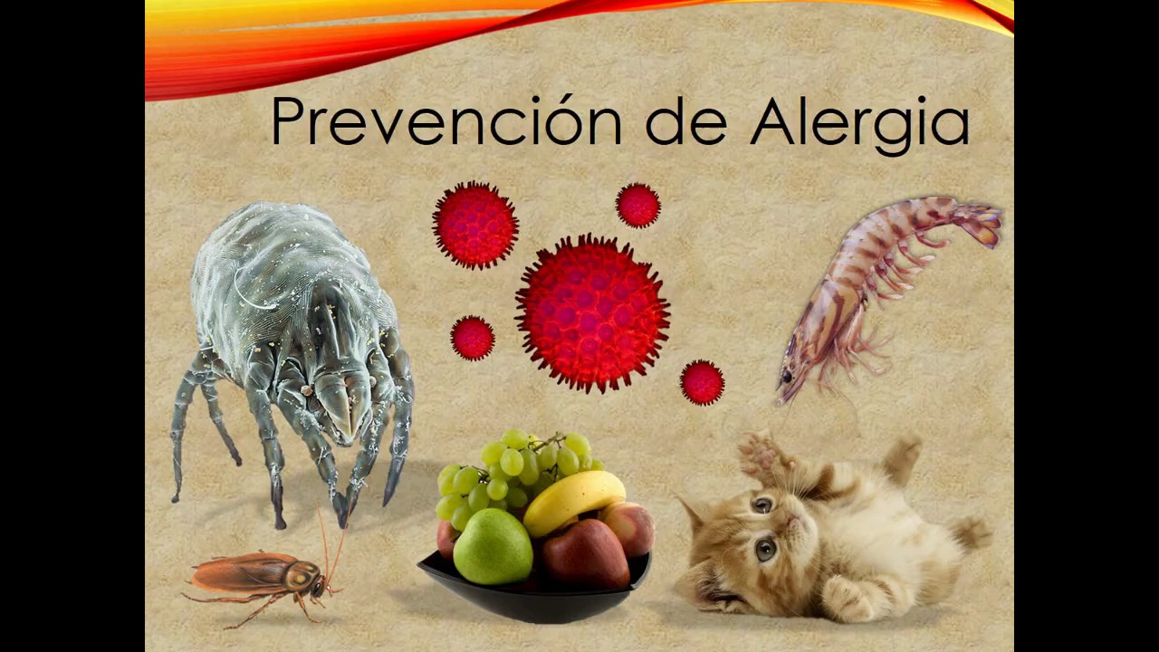 Jose Guadalupe Huerta Lopez-20