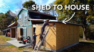 Sheathing the Shed! | Abandoned Shed to House Renovation