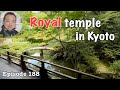Shorenin temple  The royal temple in Kyoto [Deep Japan] 青蓮院