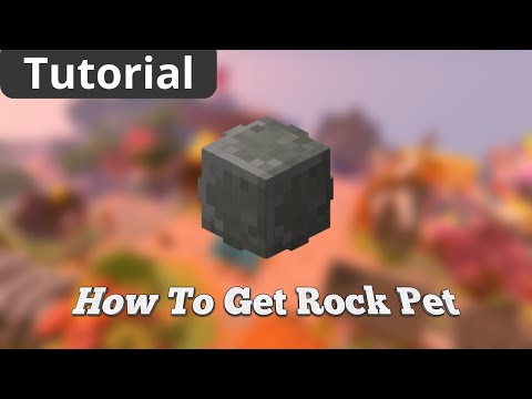 Rock Pet Hypixel