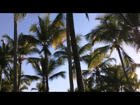 Kinky Bwoy XXX Big Jon - Se nos va de las manos (prod. by Sundaypanic)