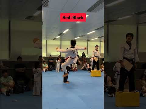 Taekwondo Board Breaking! for each Belt Level #hongkongtaekwondo #martialarts #cheungdokwan