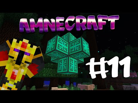 AMNECRAFT #11 : VOL ET ENDER QUARRY !