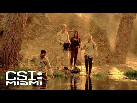 Were Leeches Responsible for the Models Death?