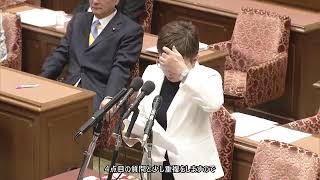 【字幕付き】20260619 衆議院 内閣委員会 06 野村美穂国民民主党・無所属クラブ