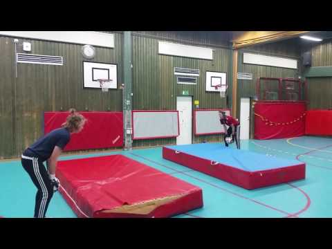 Hugo och Anton värmland p02