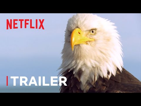 Thumbnail of the video: Absurd Planet Trailer ๐ New Series Trailer | Netflix Futures