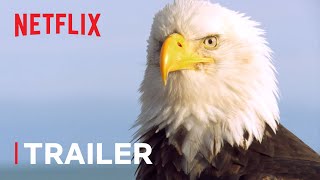 Absurd Planet Trailer 🌎 New Series Trailer | Netflix After School