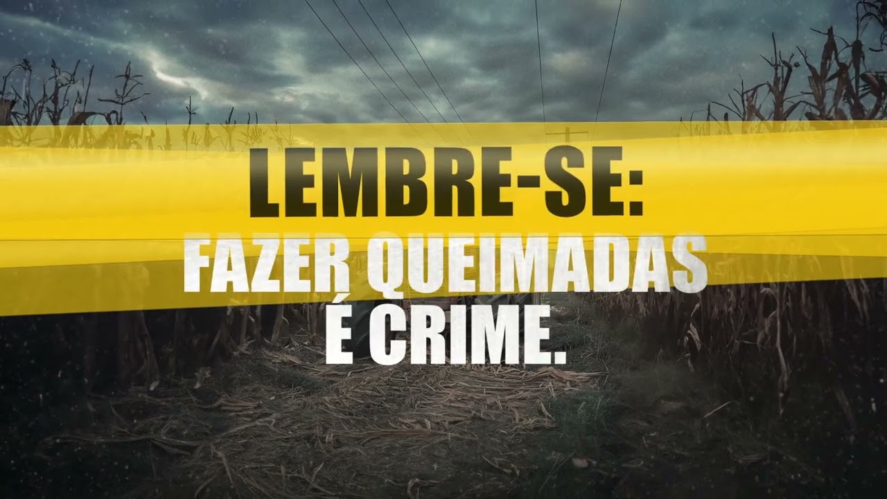 Miniatura do vídeo 3