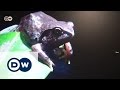 Ghana: Der mit dem Frosch pfeift - Gilbert Adum | Global 3000