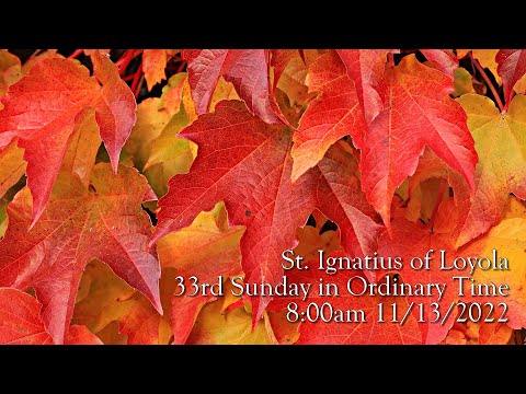 33rd Sunday in Ordinary Time 8am - 11/13/2022