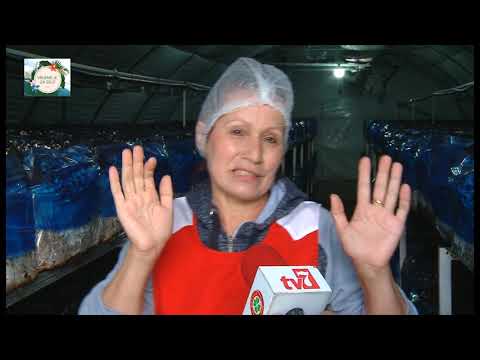 Vrijeme je za selo 04 07