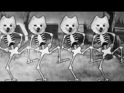 Spooky Scary Dogs