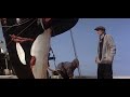 Orca The Killer Whale 1977 Killing The Female