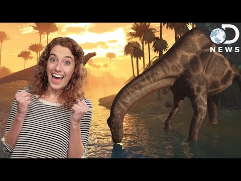 4 Things You Got Wrong About Dinosaurs