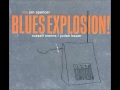 Jon Spencer Blues Explosion - Dissect (Speciaal voor Pieter)