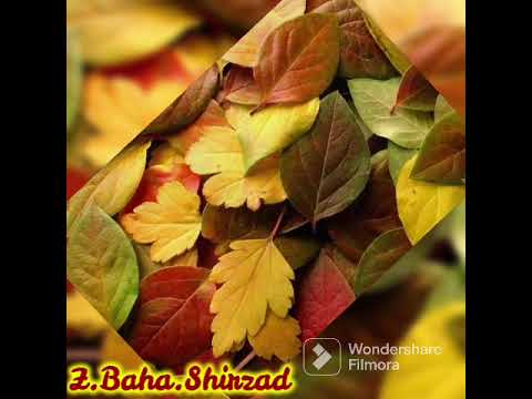 Fawad khoshnasib best song