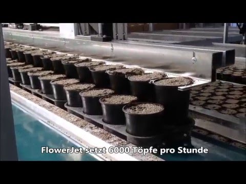 Automatisierte Basilikum Saat mit FlowerJet und Sägerät LR600