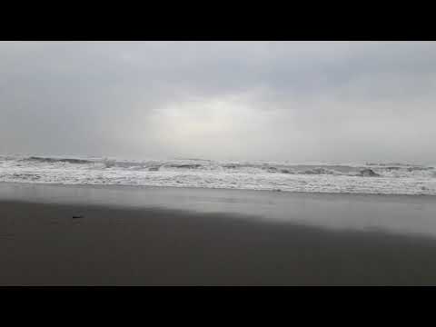 Velipoja beach in winter/Shkodra beach,  Albania