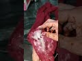 This Trick To Remove Oil From Clothes Shorts