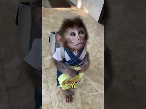 COME FANNO GLI ATTORI DEI FILM A CREARE L'EFFETTO MACCHINA SENZA MUOVERSI