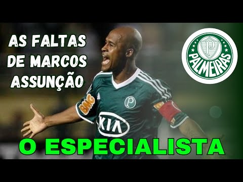 Top 6 gols de falta de Marcos Assunção pelo Palmeiras