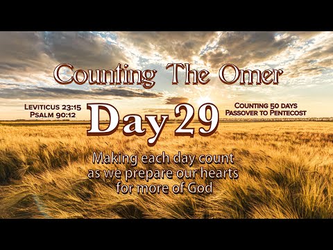 Counting the Omer Day 29