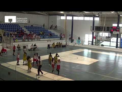 CC PREMINI FEM 2019 SPAR CANARIAS - ARIAGONA