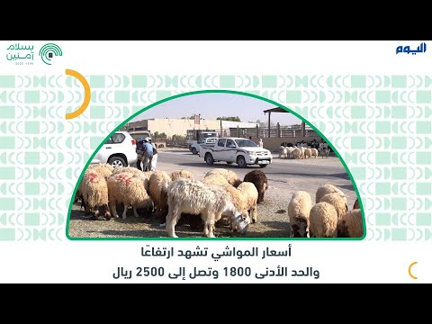 أسعار المواشي تشهد ارتفاعا والحد الأدنى 1800