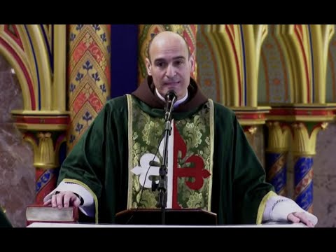 Missa Ao Vivo - 7º Domingo do Tempo Comum. Deixe suas intenções!