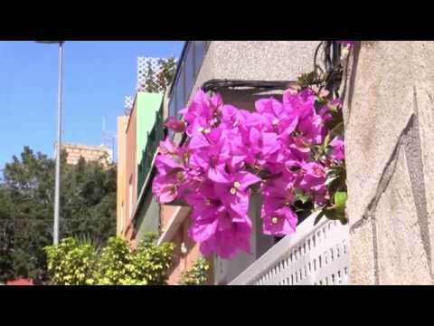 La salud & Barrio nuevo (Santa cruz de Tenerife)