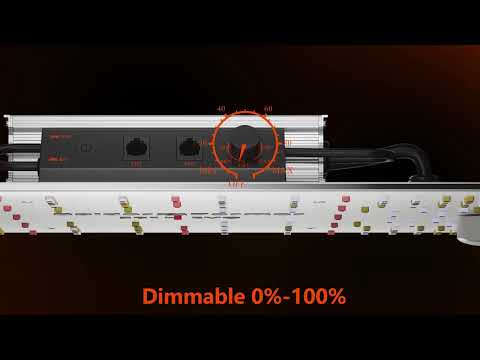 Spider Farmer SF EVO Series: Unleashing the Power of Samsung LM301H EVO LED Lights! #spiderfarmerEVO