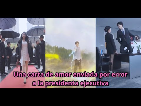 Una carta de amor enviada por error a la presidenta ejecutiva