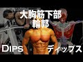大胸筋下部を鍛えるディップスDIPS5つのポイントと2つの注意点。胸のトレーンング。