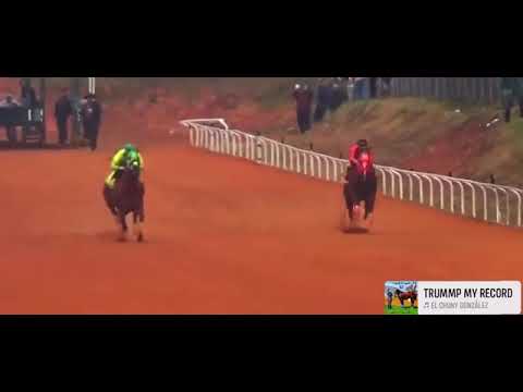 EL TRUMP MY RECORD  RANCHO EL CENTENARIO 2022 CARRERON  DE PURA LUMBRE