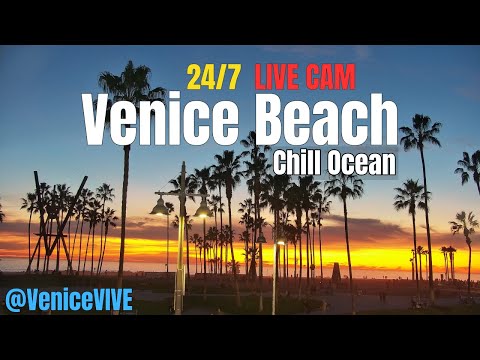 Venice Beach LIVE CAM 24/7 | Sunset🌅 & Surf Vibes 🌊 | Boardwalk, Plaza & Ocean View 1440p