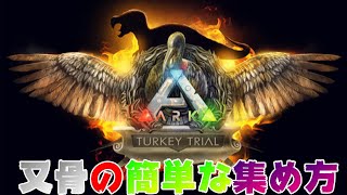 【ARK】又骨の簡単な集め方【ターキートライアル】How to collect bones