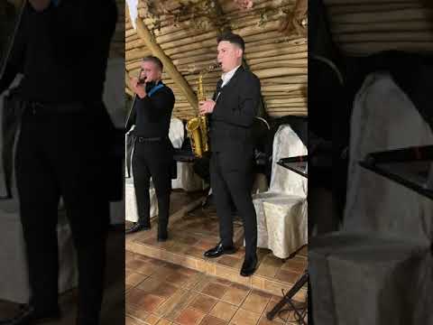 Sergiu Fetescu și Formația LiveTrio (Zi de naștere Manole)