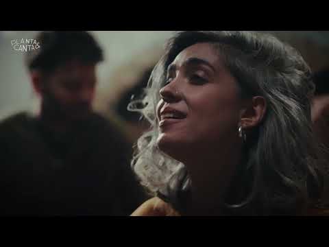 ¨Árbol¨ en vivo por "Planta y Canta"