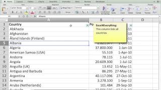 How to use Excel's comments