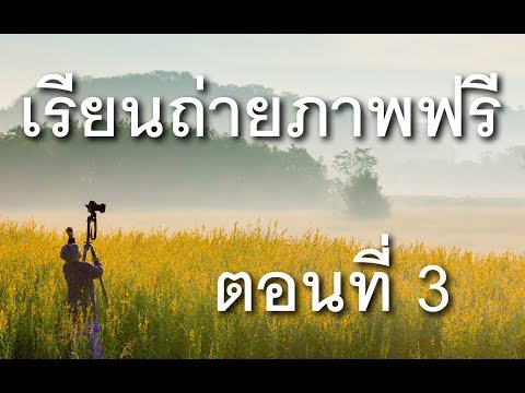 โรคผิวหนังภูมิแพ้ที่ โรคสะเก็ดเงินว่าจะดูภาพ