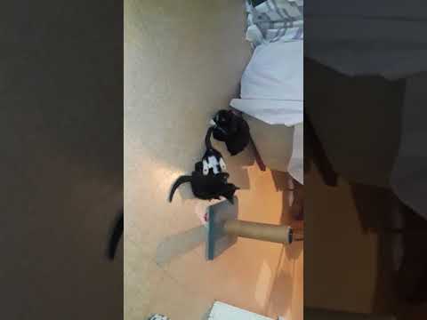 24 de agosto de 2018